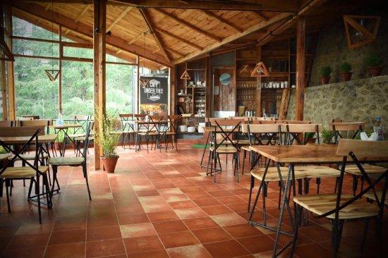 Cafe Under Tree